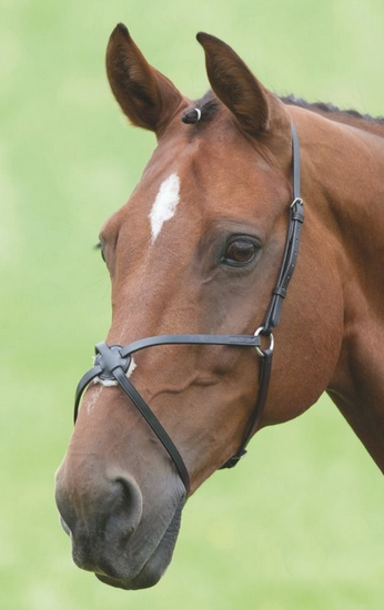 Velociti GARA Mexican Noseband