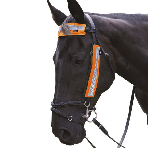 HyVIZ Bridle Set