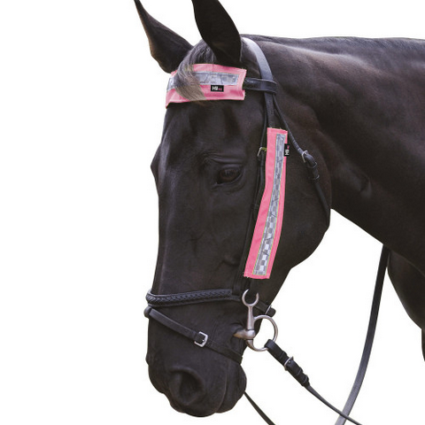 HyVIZ Bridle Set