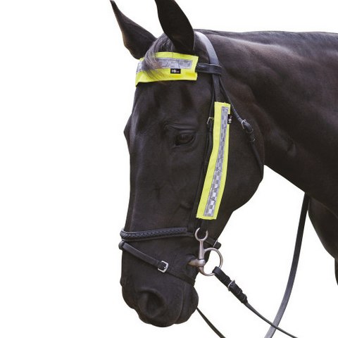 HyVIZ Bridle Set