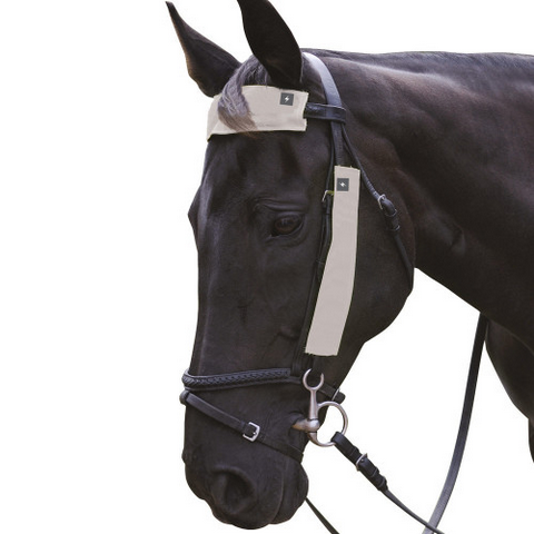 HyVIZ Bridle Set