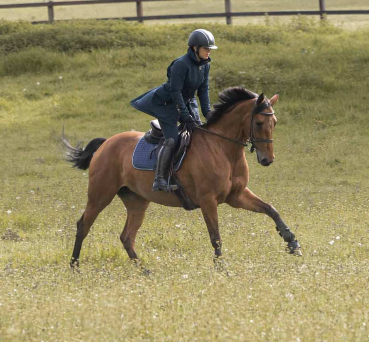 Toggi Griffiths Long Riding Coat