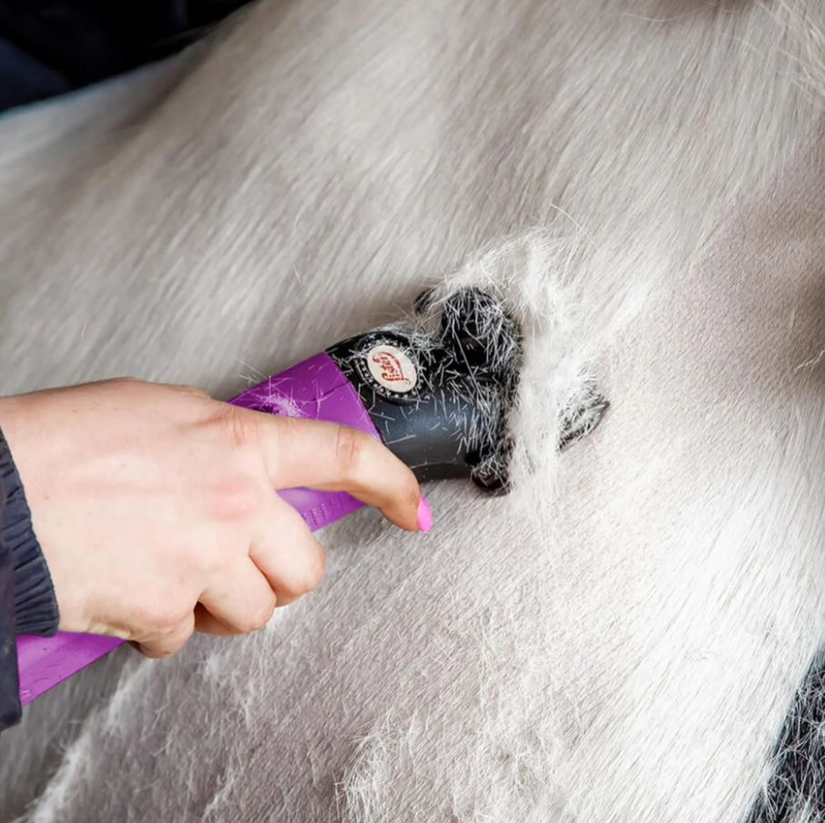 Lister Star Equine Clipper Kit Purple