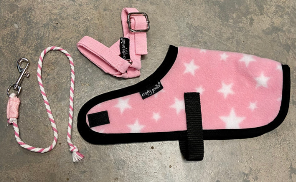 Crafty Ponies Foal Rug Set