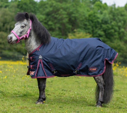 Gallop Ponie 50g Turnout