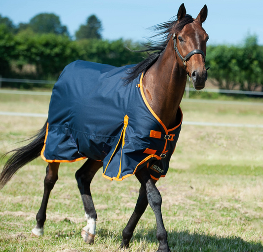 Gallop TROJAN 100g Turnout