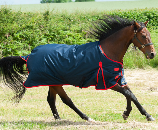 Gallop TROJAN 200g Turnout Rug