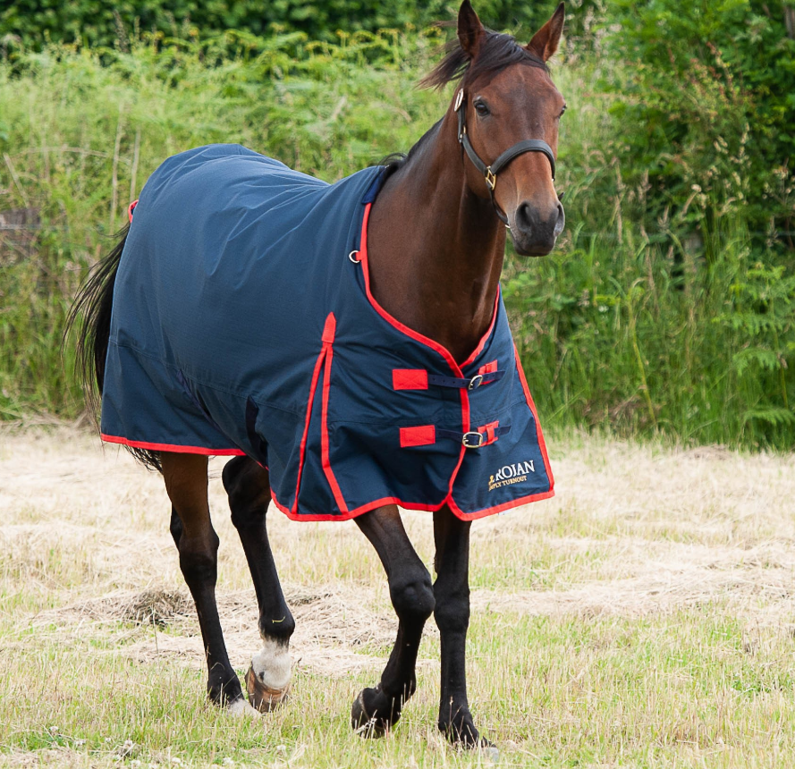 Gallop TROJAN 200g Turnout Rug