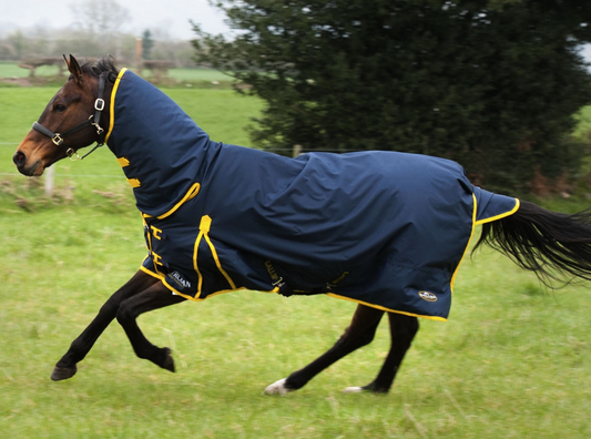 Gallop TROJAN 200g Turnout Combo