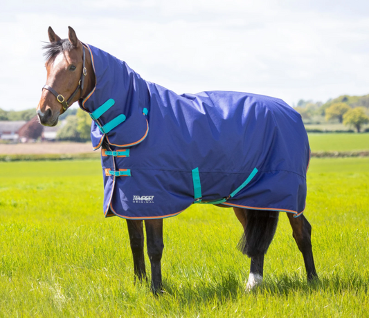 Tempest Original 100 Turnout Combo Rug 6'6