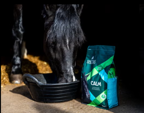 Spillers Calm Supplement 3Kg