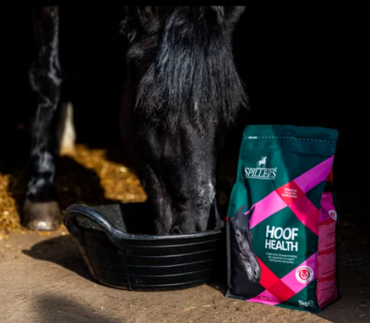 Spillers Hoof Health Supplement 3Kg