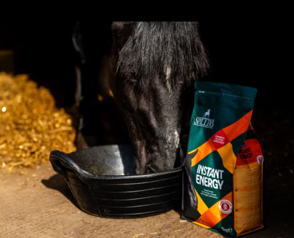 Spillers Instant Energy 3Kg