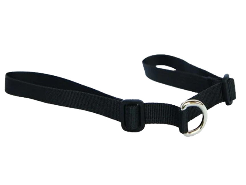 Point Two Saddle Strap
