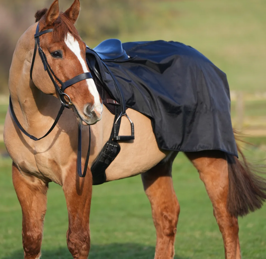 Uhlan Fur Lined Waterproof Exercise Sheet Black