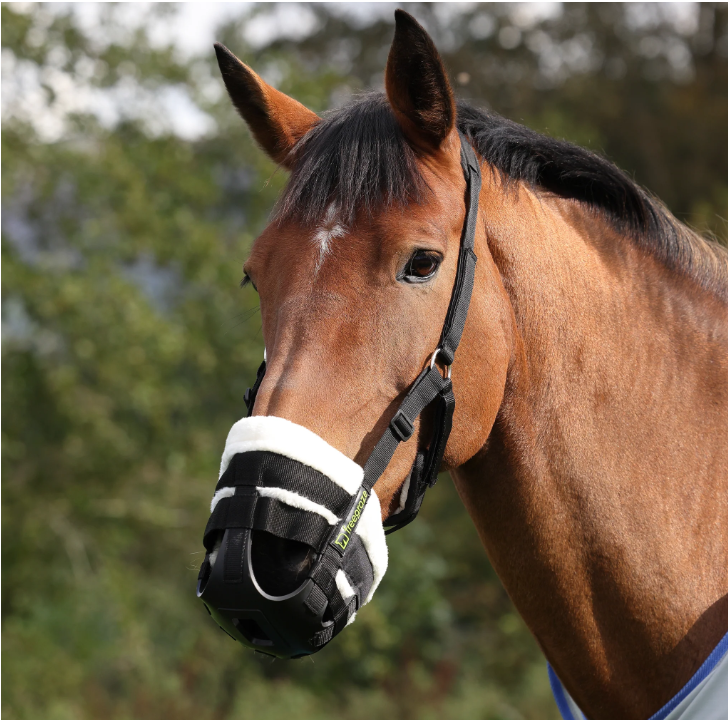 FreeGraze AirFlow Grazing Muzzle