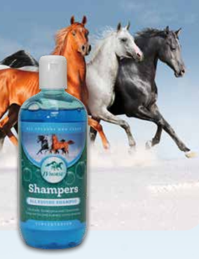 IV Horse Shampers Horse Shampoo