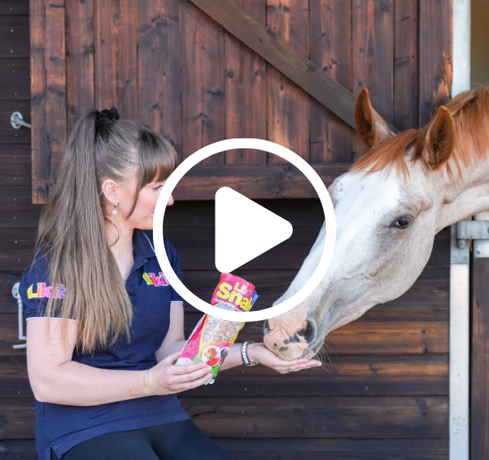 Likit Snaks Horse Treat