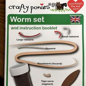 Crafty Ponies Worm Set