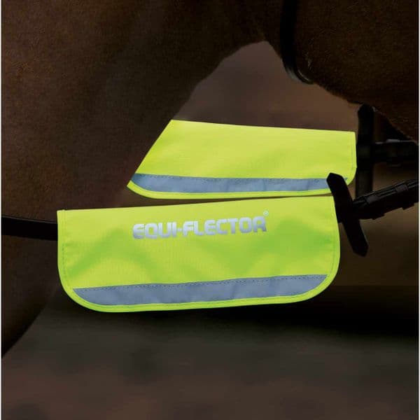 Equi-flector Bridle/Halter Band