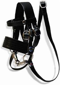 Crafty Ponies Bridle