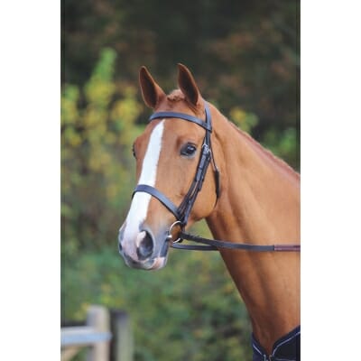 Velociti GARA Plain Bridle