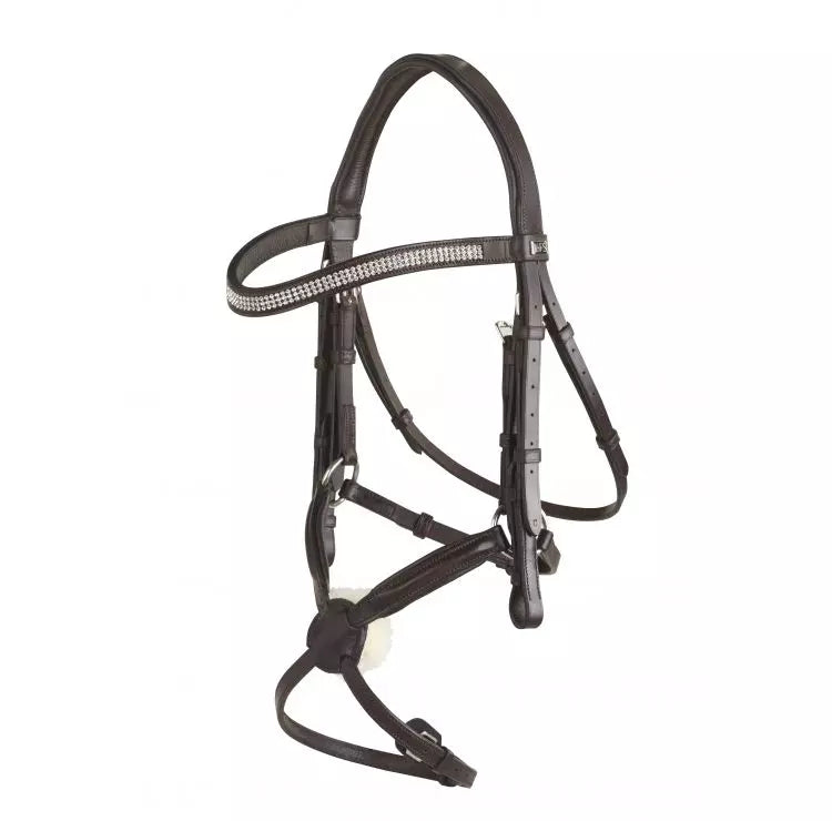 GFS Crystal Grackle Bridle