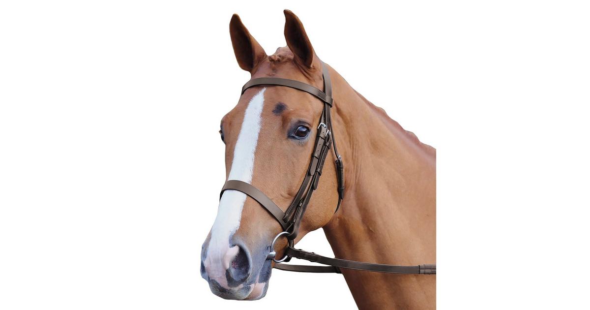 Velociti GARA Plain Bridle