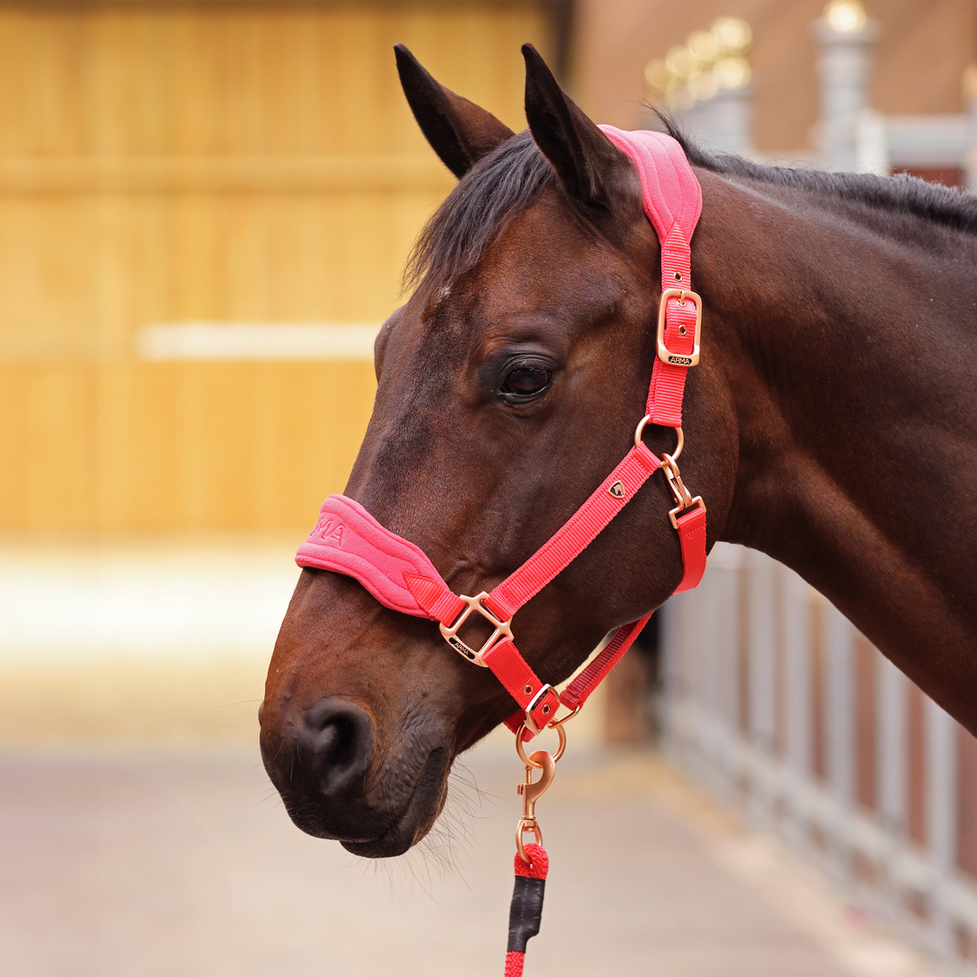 ARMA Comfy Fleece Headcollar & Leadrope