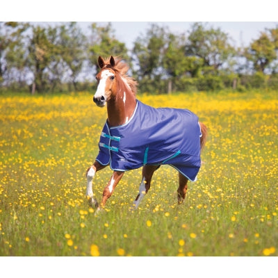 Shires Tempest Original 100g Turnout Rug