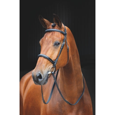 Shires Salisbury Fairford Bridle