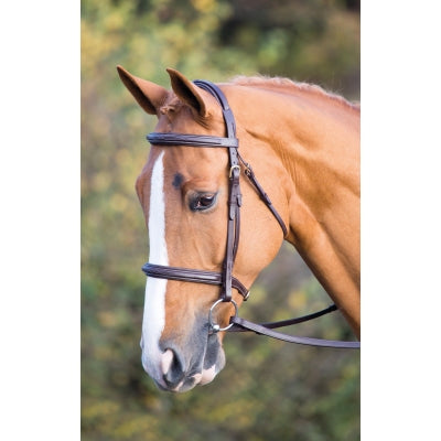 Shires Salisbury Fairford Bridle