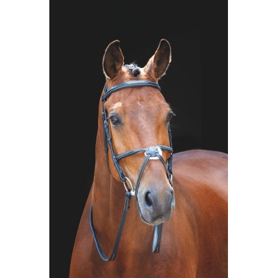 Shires Salisbury Brackley Bridle