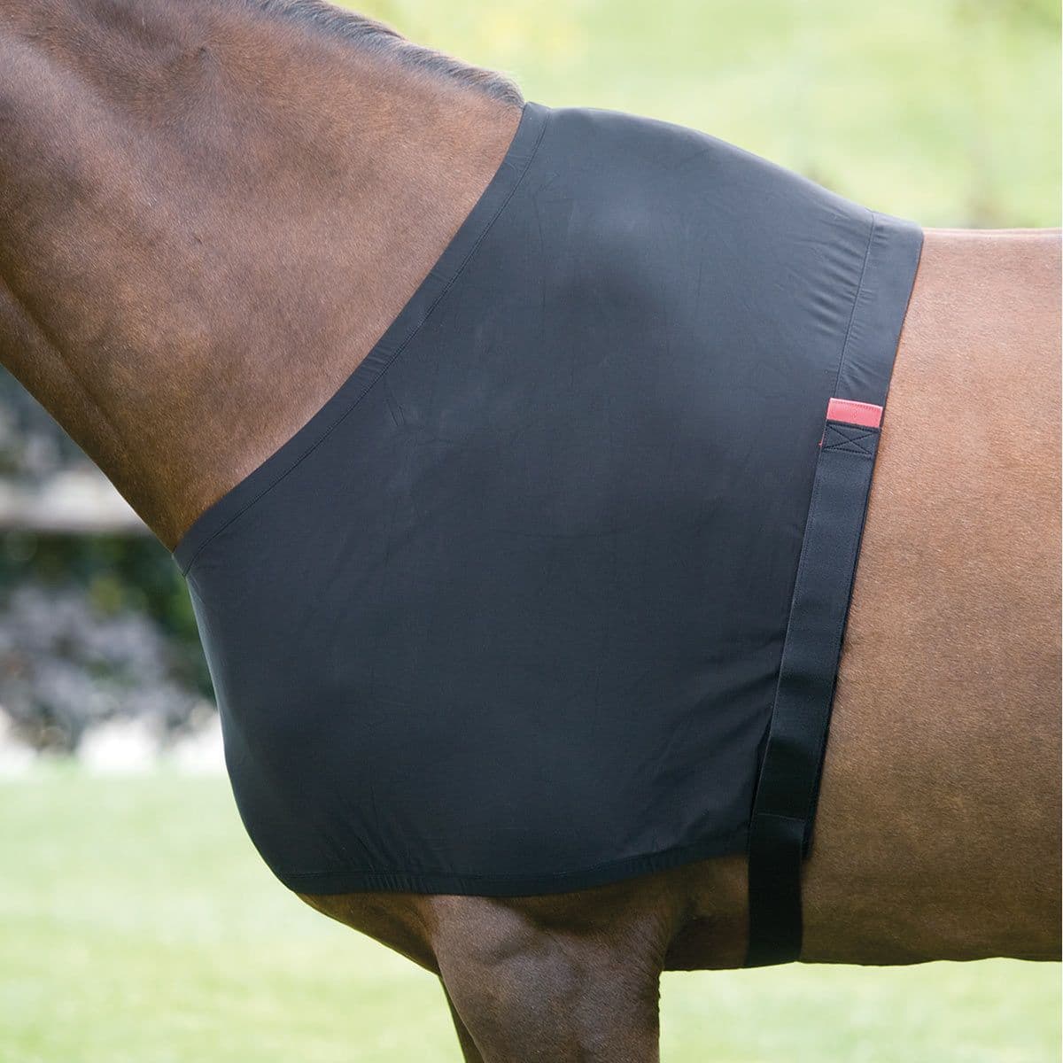 Shires Anti-rub Stretch Vest