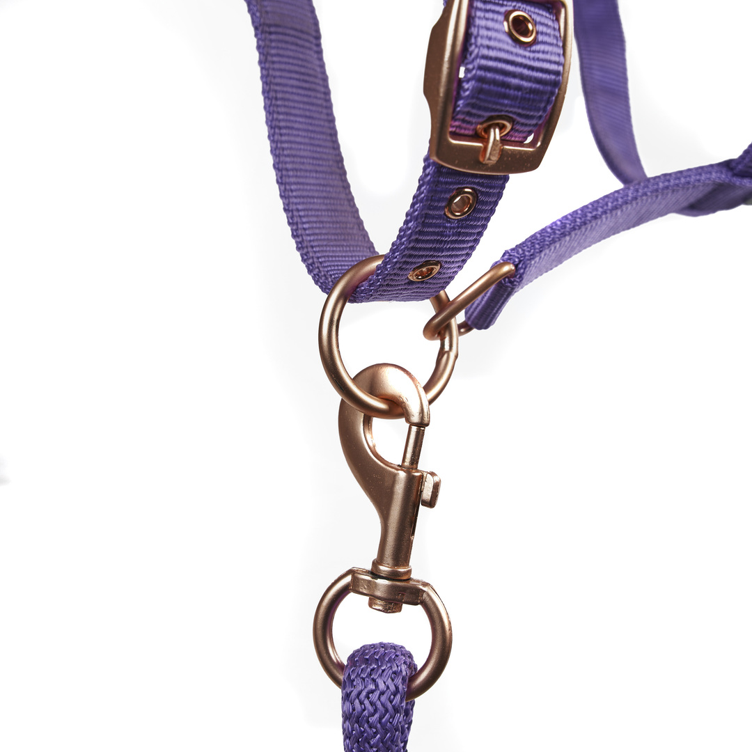 ARMA Comfy Fleece Headcollar & Leadrope